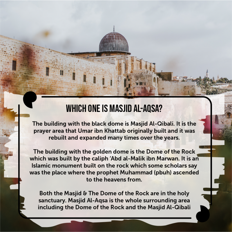 The Importance of Palestine Green Lane Masjid